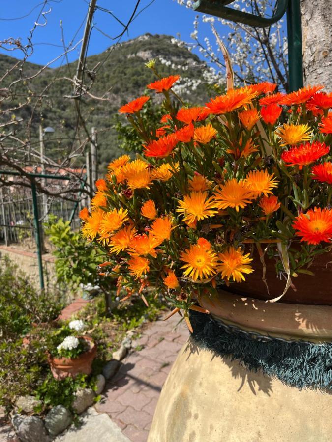 Rocca Di Corno Guest House Finale Ligure Bagian luar foto